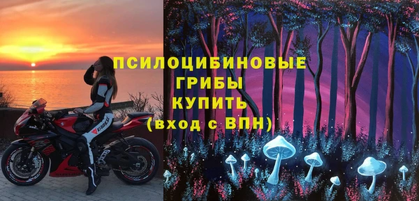 гидра Приозерск