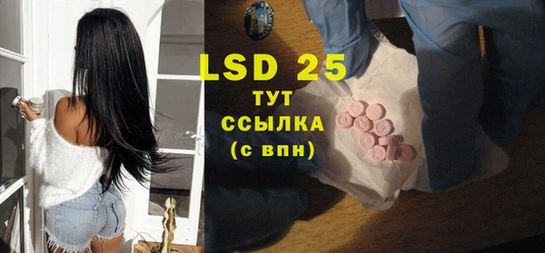 индика Протвино